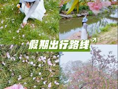 -羊山湖公园