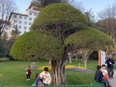 -经纬广场