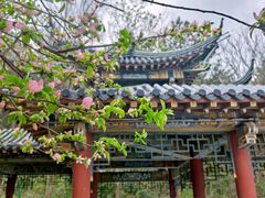 -句容茅山景区
