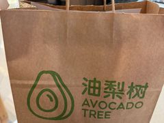 -油梨树AVOCADO TREE(嘉里中心店)