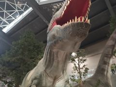 -湖南省地质博物馆