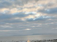 -深圳湾公园(南山区)