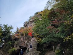 -树山生态村