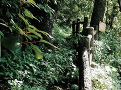 -龙苍沟森林公园