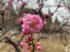 -元大都城垣遗址公园