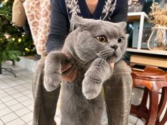 -ID.PHOTO照相馆(嘉里企业中心店)