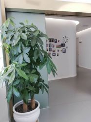 -小忠丽格医美