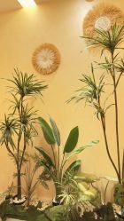 -御品•瑶浴灸疗SPA