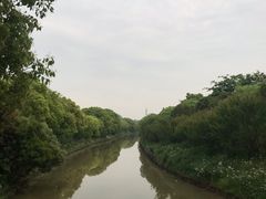 -上海海湾国家森林公园