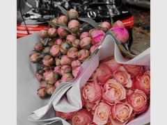 -双季花艺园艺市场(浦东店)