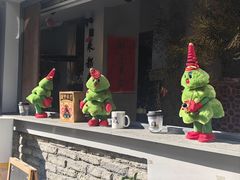 -溪岸路花鸟市场