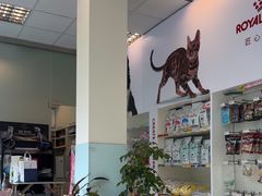 -瑞派申生动物医院·24H夜诊·国际动物医疗中心·骨外科(吴中路店)