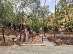 -中山市树木园