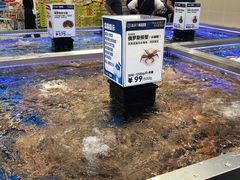 -盒马X会员店(上海森兰商都店)
