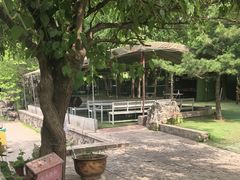 -尚庄度假村·庭台树下·户外烧烤·团建CS·轰趴营地(上庄水库店)