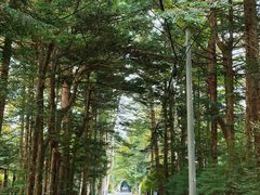-轻井泽高原教堂