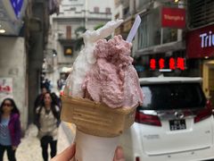 -柠檬车露(卖草地店)