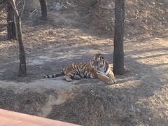 -石家庄市动物园