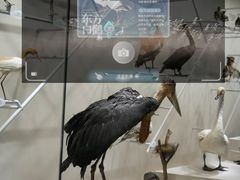 -中国湿地博物馆