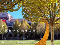 -民园广场