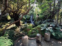 -Chom Cafe and Restaurant