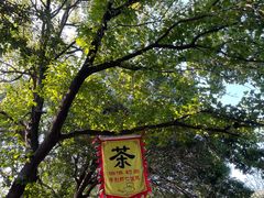 -雨花胜境