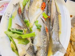 -吴记富苑(朝阳店)