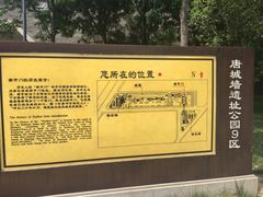 -唐城墙遗址公园