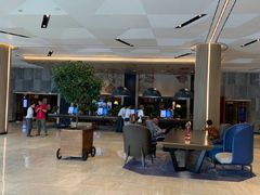 -新加坡瑞士史丹福酒店