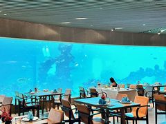 -涛·海底餐厅·美人鱼·自助餐·海底隧道(三亚海棠湾洲际度假酒店)