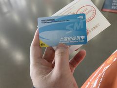 -龙阳路磁悬浮列车总站-停车场