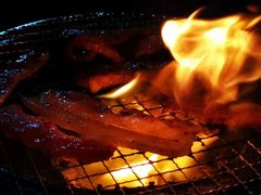 -奉天泥炉烤肉(七星店)