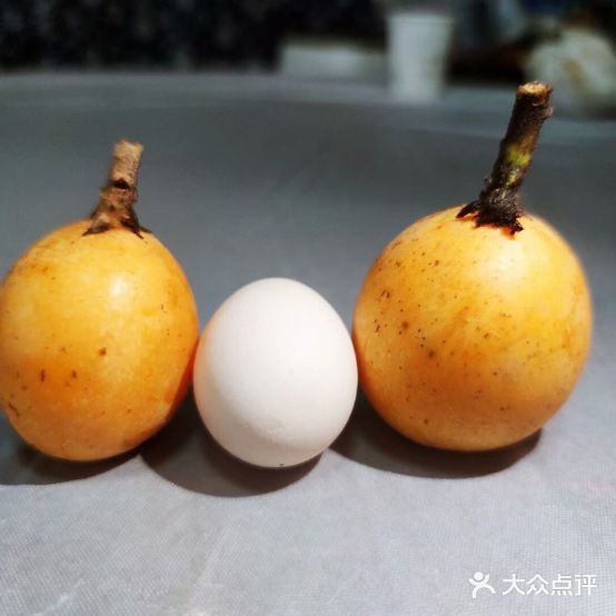 杜氏庄园咸一农业生态园