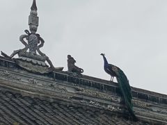 -都江堰普照寺