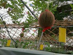 android_upload_pic-盈香心动乐园