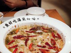 老坛酸菜鲈鱼-江渔儿酸菜鱼(奥园广场金发购物中心店)