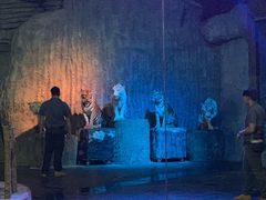 -清迈夜间动物园