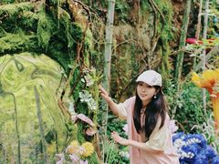 -龙湾潭国家森林公园