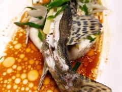 清蒸鲈鱼-煲王粤菜餐厅(中侨中心店)