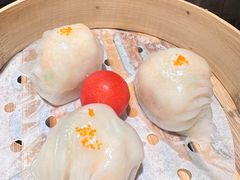-粤凤佬