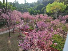 -狐尾山公园