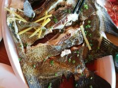 -蓝湾碧波·老字号·疍家非遗海上餐厅