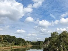 -白鹭湾湿地公园