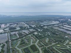 -泗洪洪泽湖湿地景区
