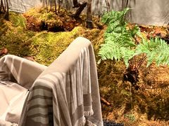 -森SPA·泰式按摩·精油Massage(宝安中心店)