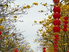 -洲头咀公园
