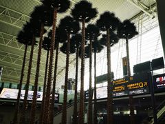 -广州白云国际机场-T2航站楼