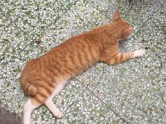 -非遗·爱西干面(小公园总店)