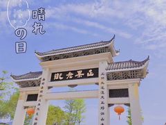 -传说中那条蛋散