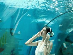 -合肥海洋世界